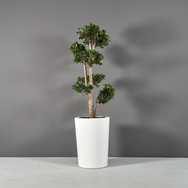 Tegel Tapered Round Planter | Jay Scotts Collection