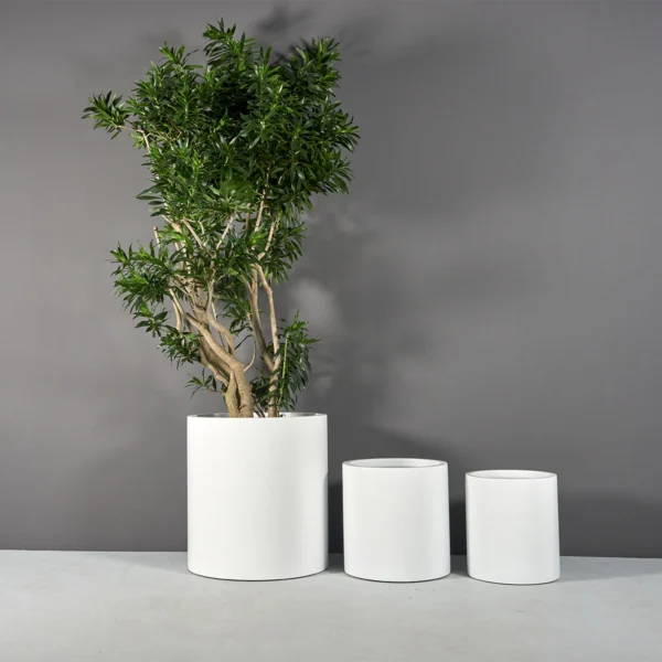 Rio Grande Cylinder Planter | Jay Scotts Collection