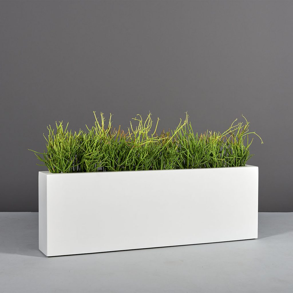 Camoux Narrow Rectangular Planter Jay Scotts Collection — free download