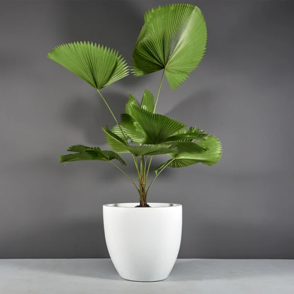 Wannsee Extra Large Round Planter | Jay Scotts Collection