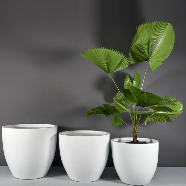 Wannsee Extra Large Round Planter | Jay Scotts Collection