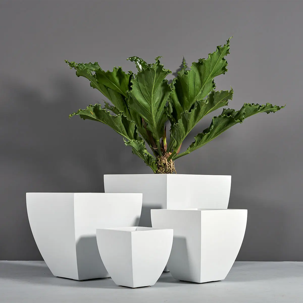 Lima Square Tapered Planter | Jay Scotts Collection