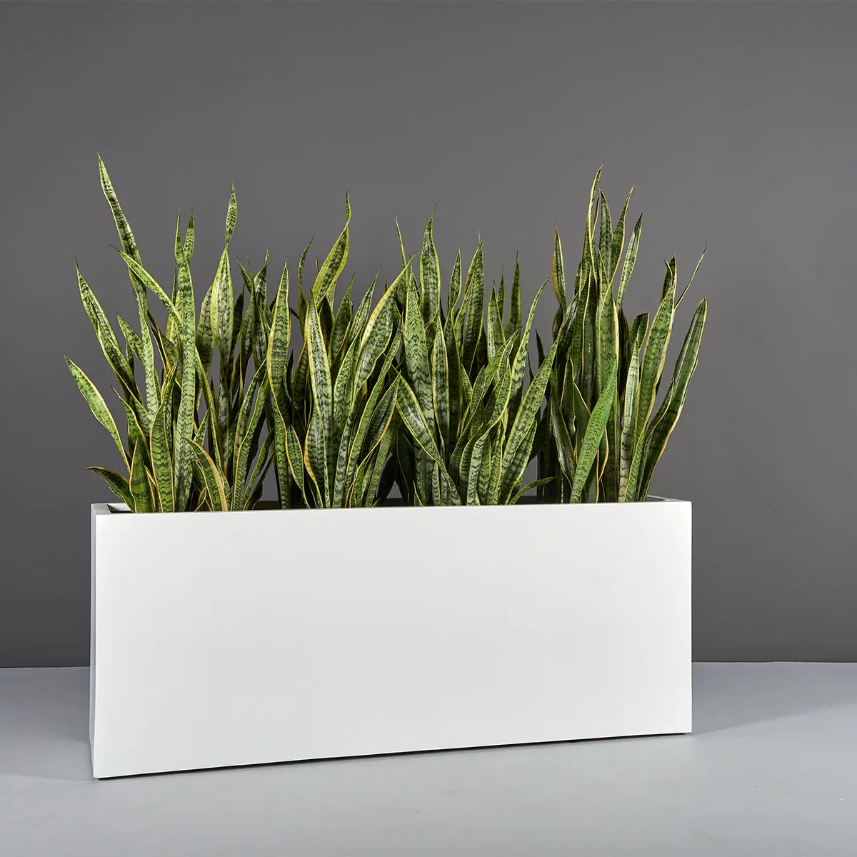 Tolga Rectangular Planter | Jay Scotts Collection