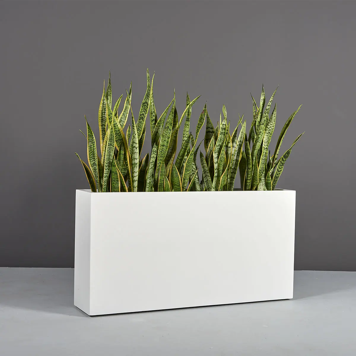 Milano Narrow Rectangular Planter | Jay Scotts Collection