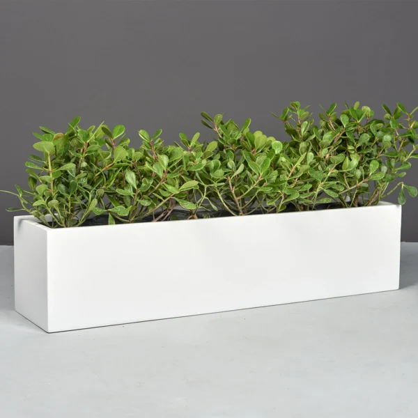 Monaco Rectangle Planter | Jay Scotts Collection