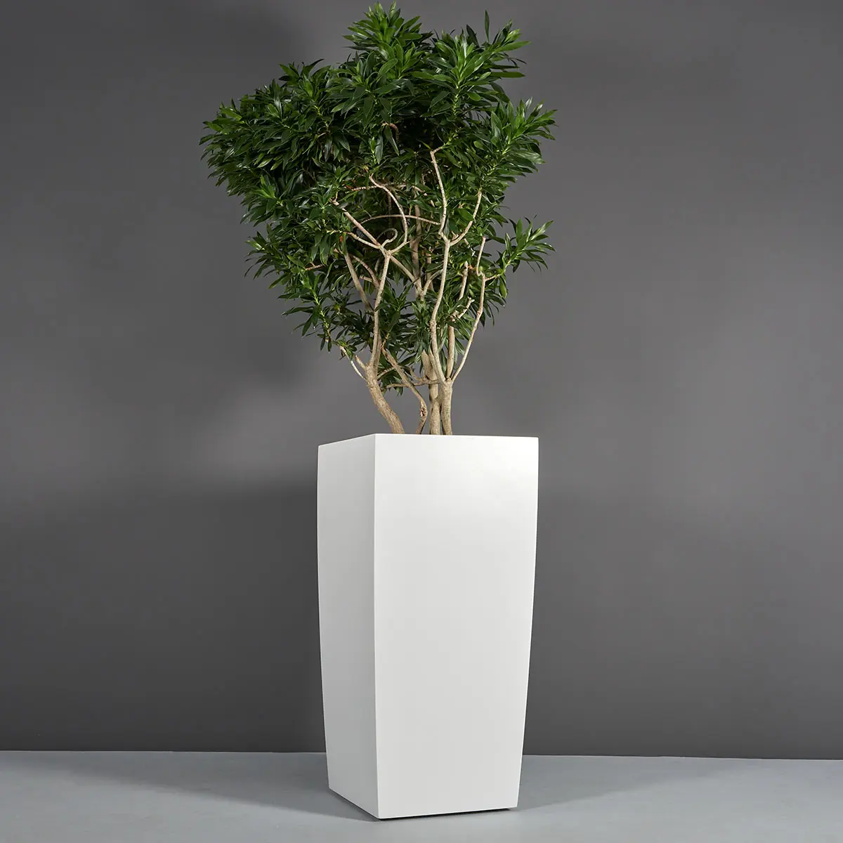 Toulan Modern Tall Tapered Square Planter | Jay Scotts Collection