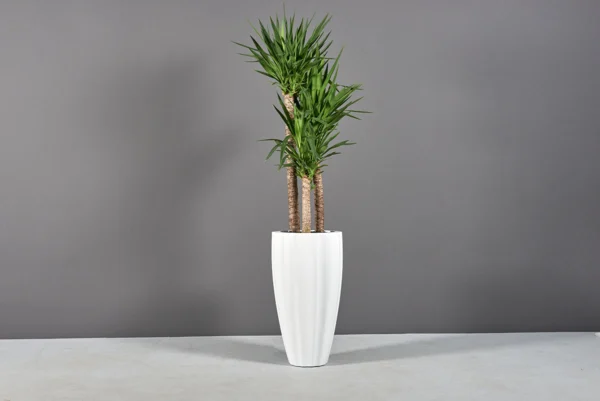 San Jose Tall Fluted Round Planter | Jay Scotts Collection