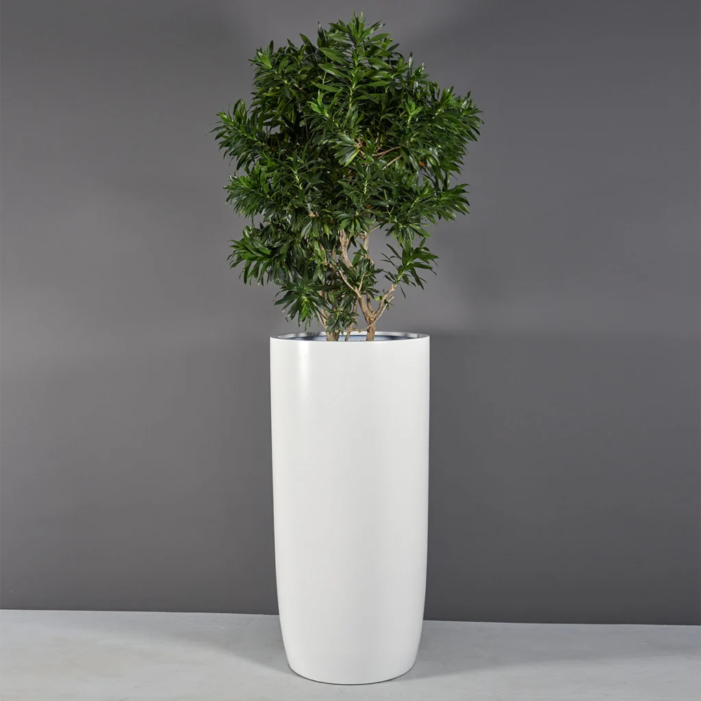 Plant Pot Size Guide | Find the Best Shape and Size for Your Plants | Jay  Scotts Collection