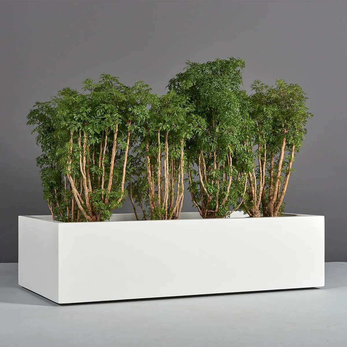Antwerp Wide Rectangular Planter | Jay Scotts Collection
