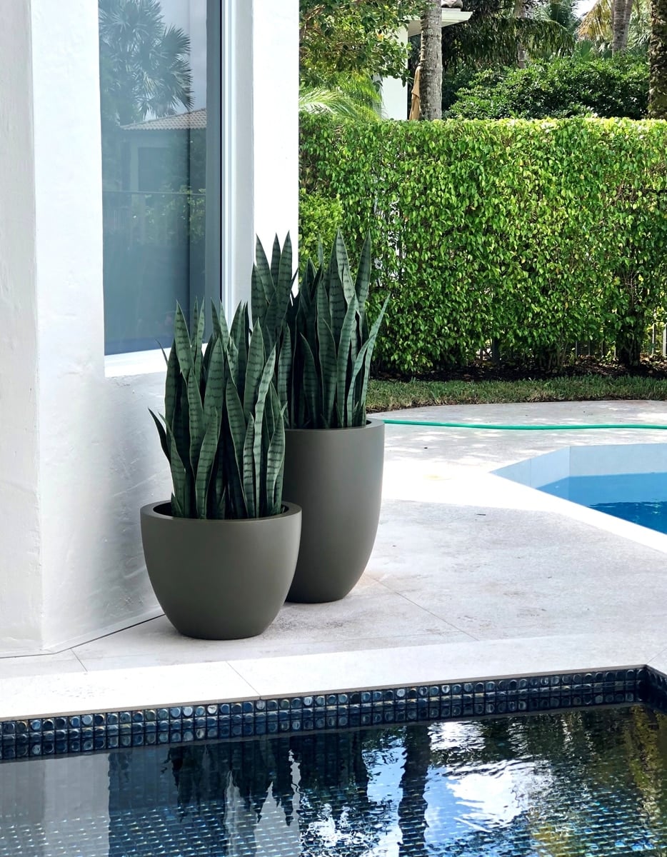How to Choose the Perfect Planter Colors for Any Space Jay Scotts ...