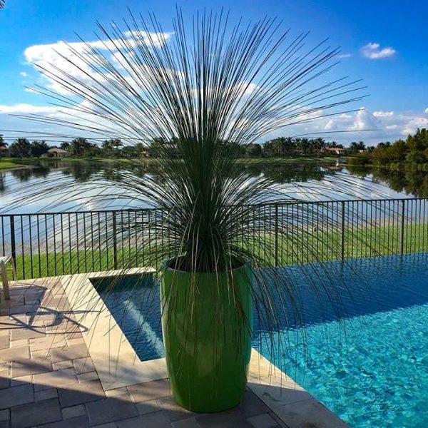 Choosing the Right Colors for Your Planters: Key Things to Know & Most ...