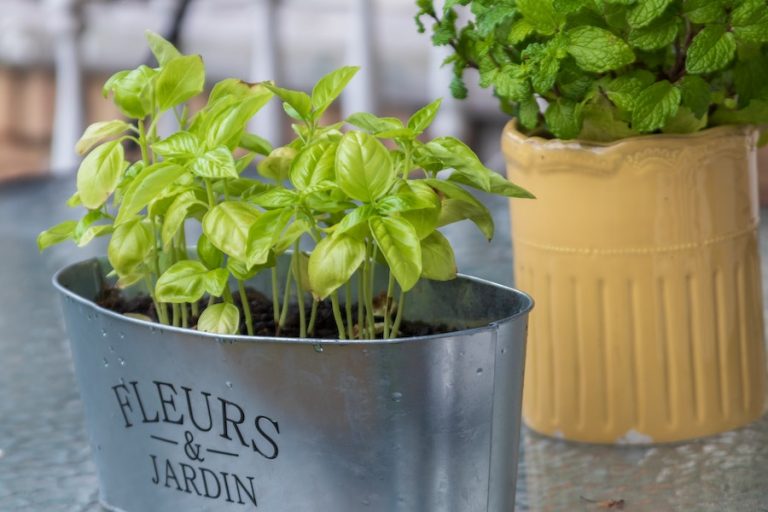 Material Sources Pot 7 BEST Material for Plant Pots | Industrial Expert Guide | Jay Scotts ...