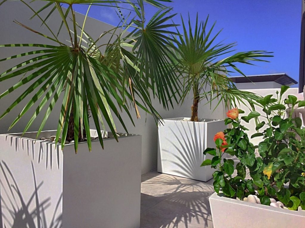 Buyers Guide To Large Outdoor Planters Home And Commercial Container Ideas Jay Scotts Collection
