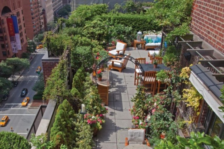 Terrace Garden Ideas: Best Plants For Rooftops And Privacy | Jay Scotts ...