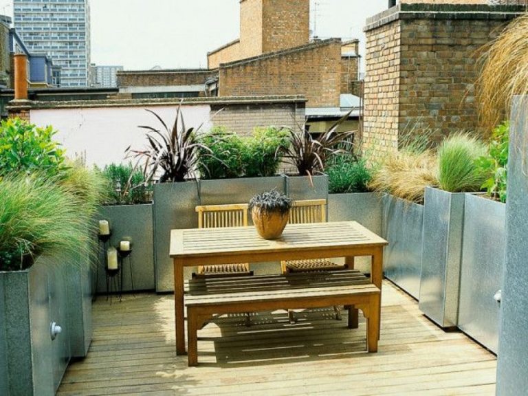 Terrace Garden Ideas: Best Plants For Rooftops And Privacy | Jay Scotts ...