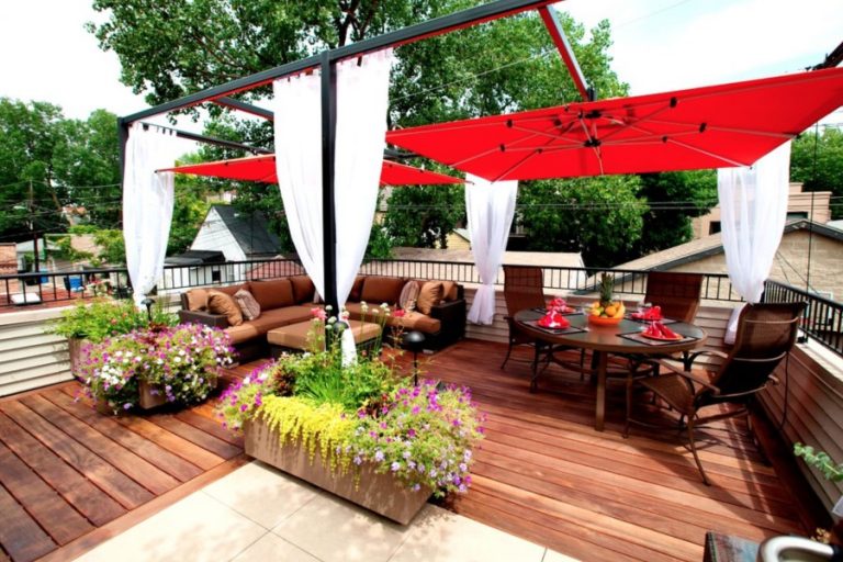 Terrace Garden Ideas: Best Plants For Rooftops And Privacy | Jay Scotts ...