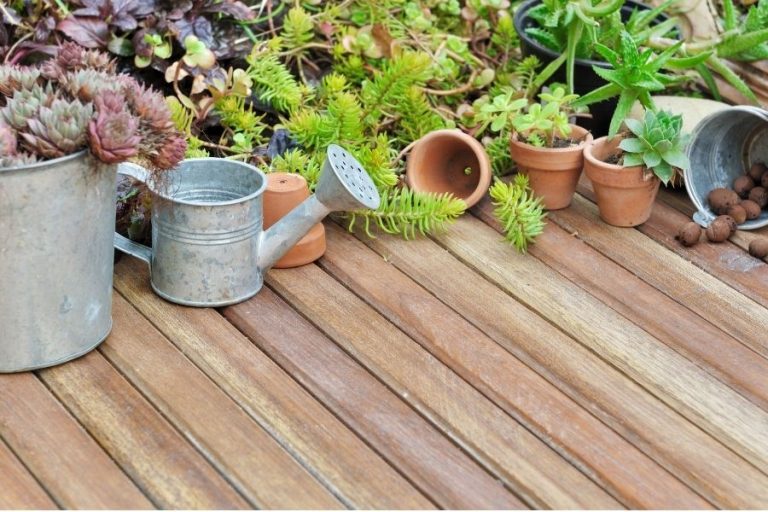 Terrace Garden Ideas: Best Plants For Rooftops And Privacy | Jay Scotts ...