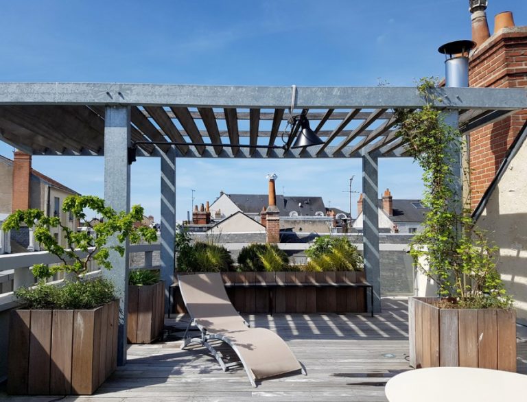 Terrace Garden Ideas: Best Plants For Rooftops And Privacy | Jay Scotts ...