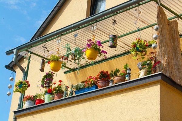 Terrace Garden Ideas: Best Plants For Rooftops And Privacy | Jay Scotts ...