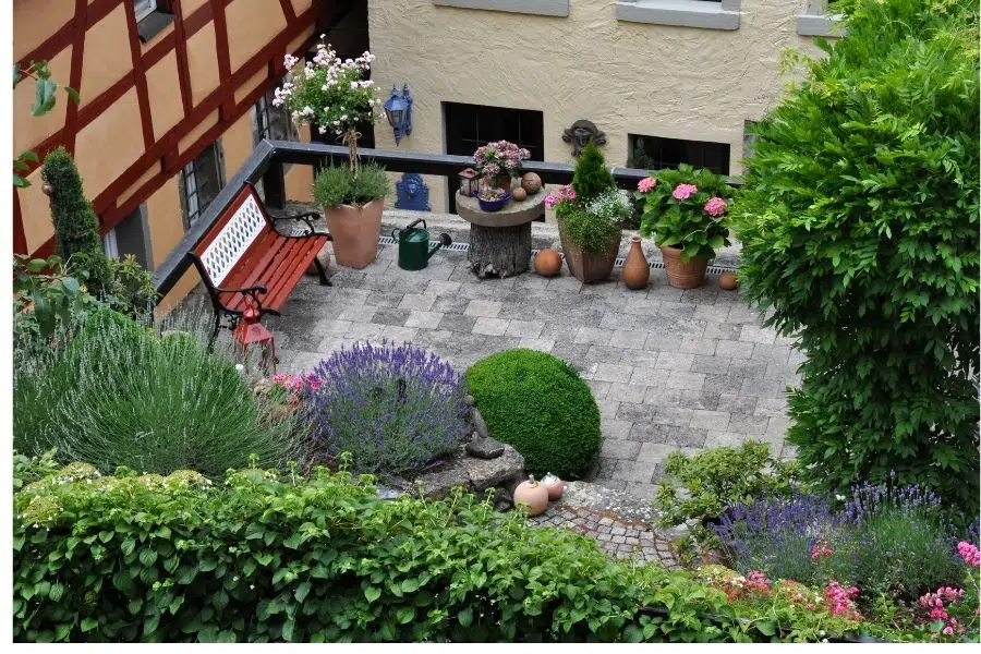 Terrace Garden Ideas: Best Plants For Rooftops And Privacy | Jay Scotts  Collection