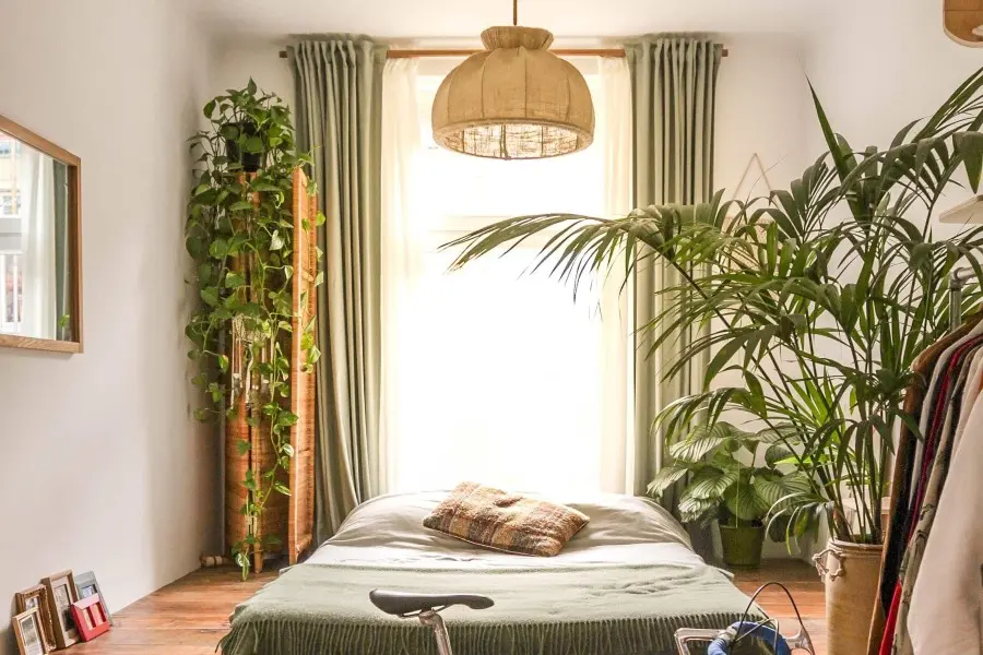10 Botanical Bedroom Ideas And Plants To Spruce Up Your Favorite Space |  Jay Scotts Collection