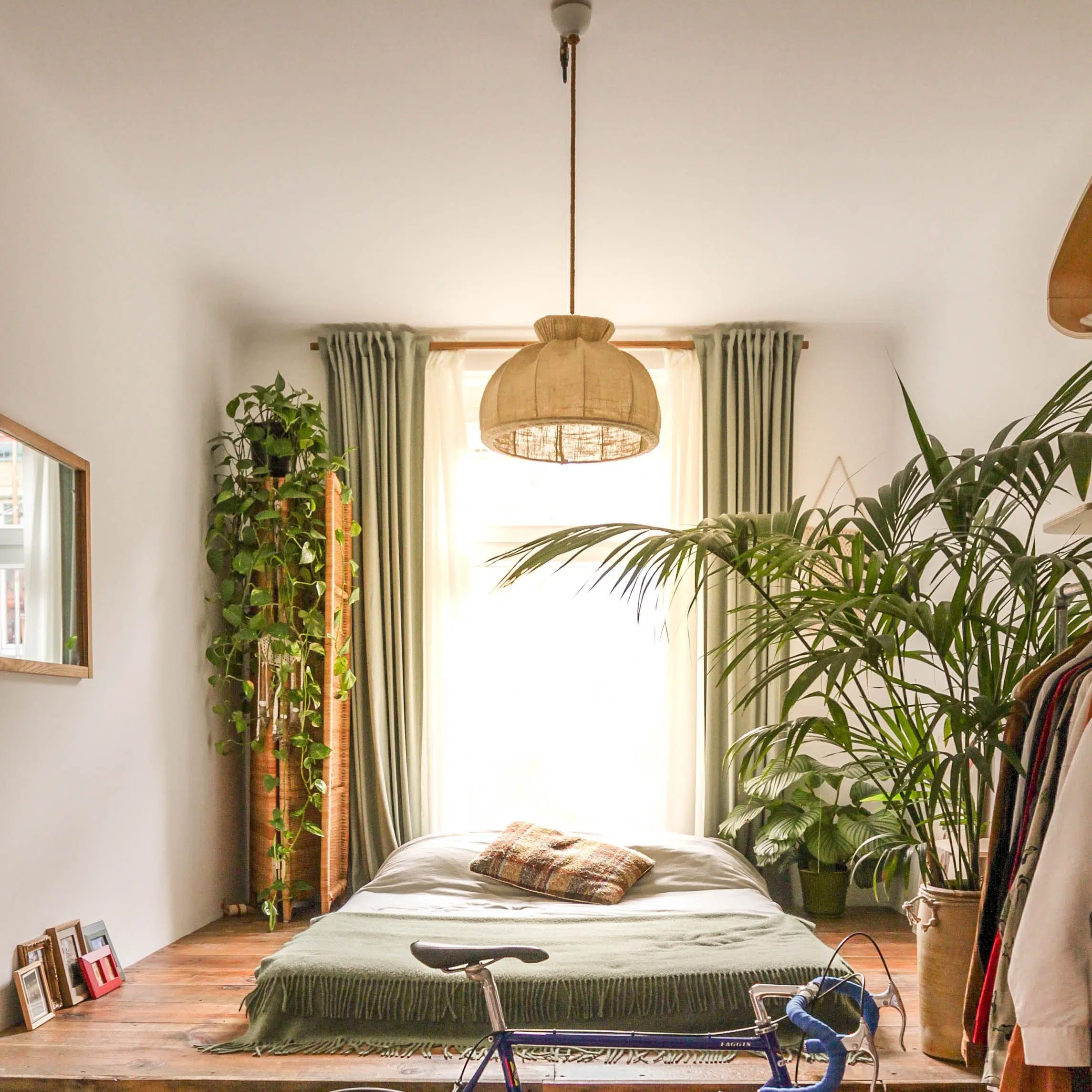 10 Botanical Bedroom Ideas And Plants To Spruce Up Your Favorite Space |  Jay Scotts Collection