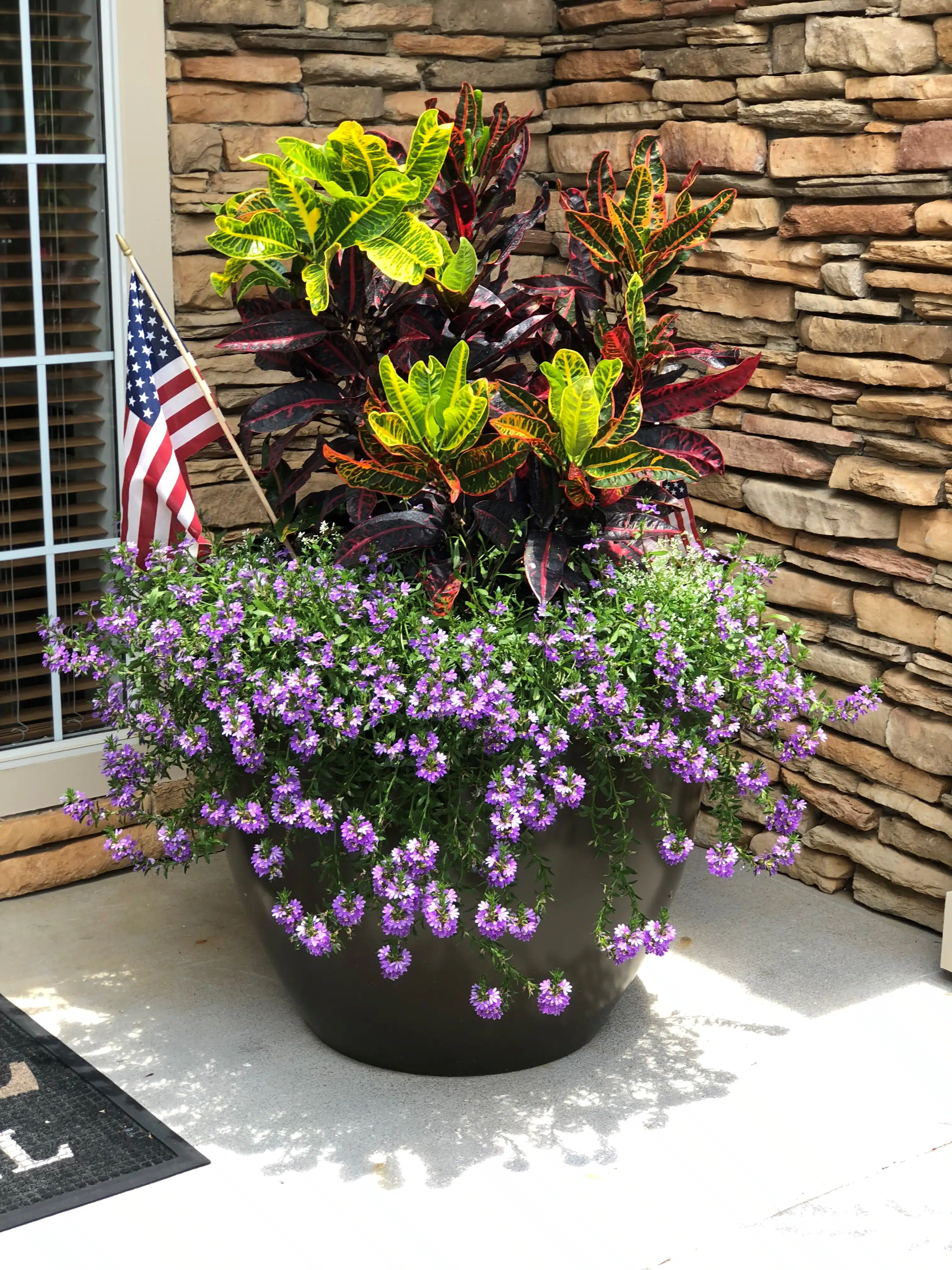 How to Choose the Perfect Planter Colors for Any Space | Jay Scotts  Collection