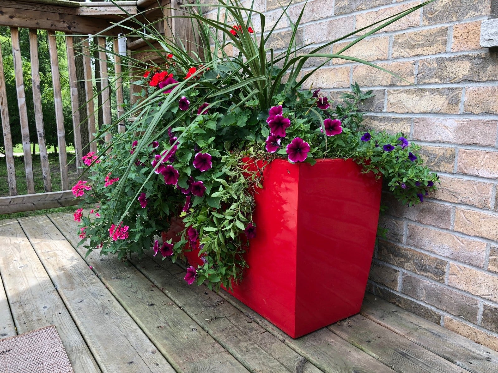 How to Choose the Perfect Planter Colors for Any Space Jay Scotts ...
