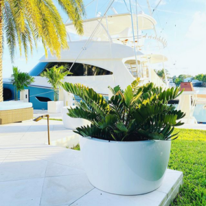 Bowl & Sphere Planters