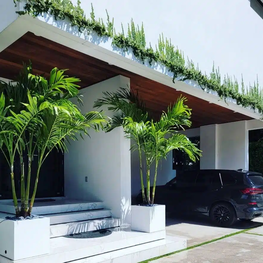 Tall Planters For Privacy: 7 Planting Tips For A Beautiful Privacy Screen |  Jay Scotts Collection