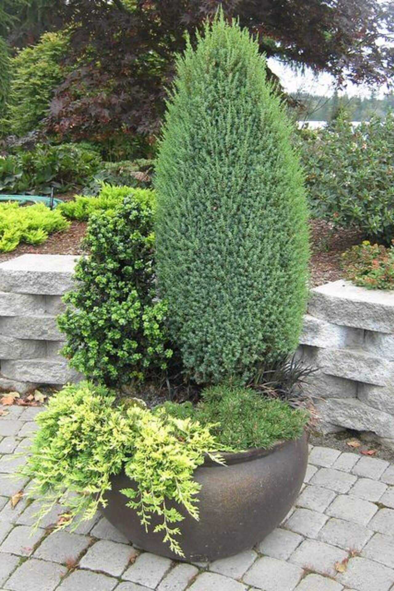 Best Extra Large Lightweight Planters For Trees | Plus Ideas For Large ...