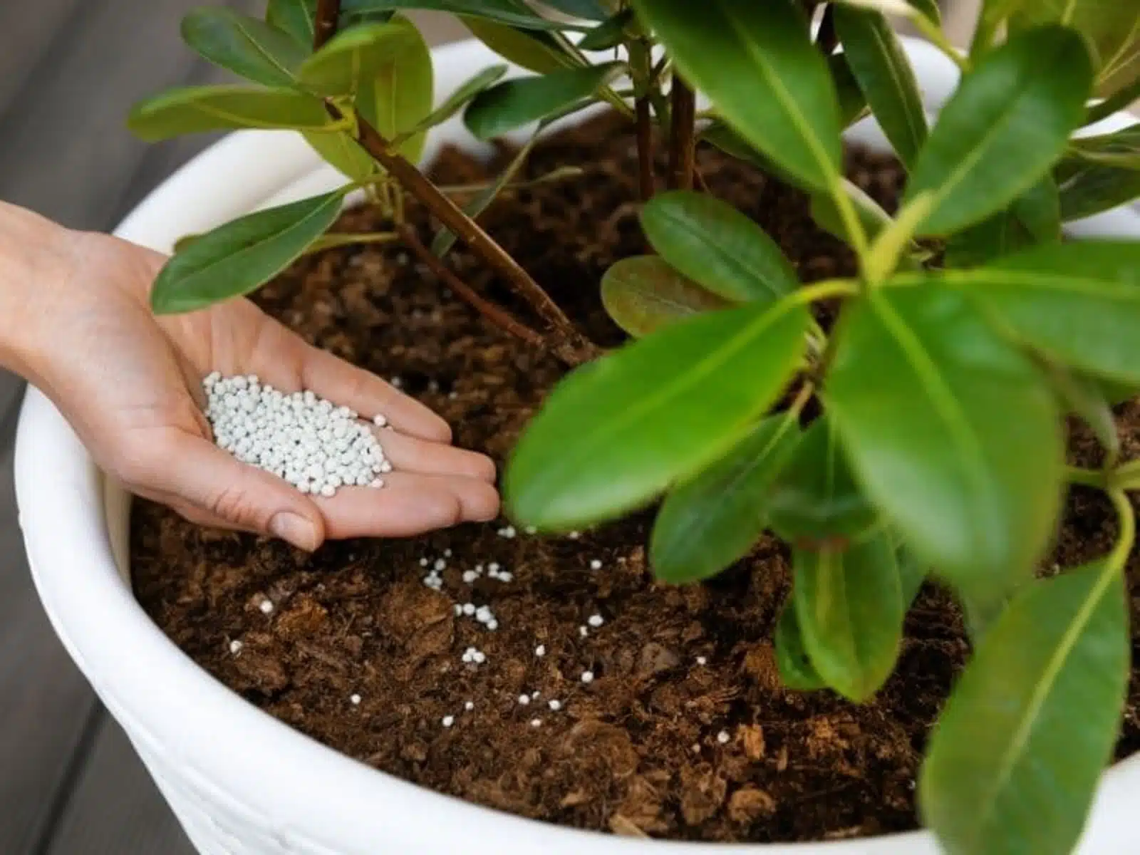 boot plant pot Western Boot Planter Pot