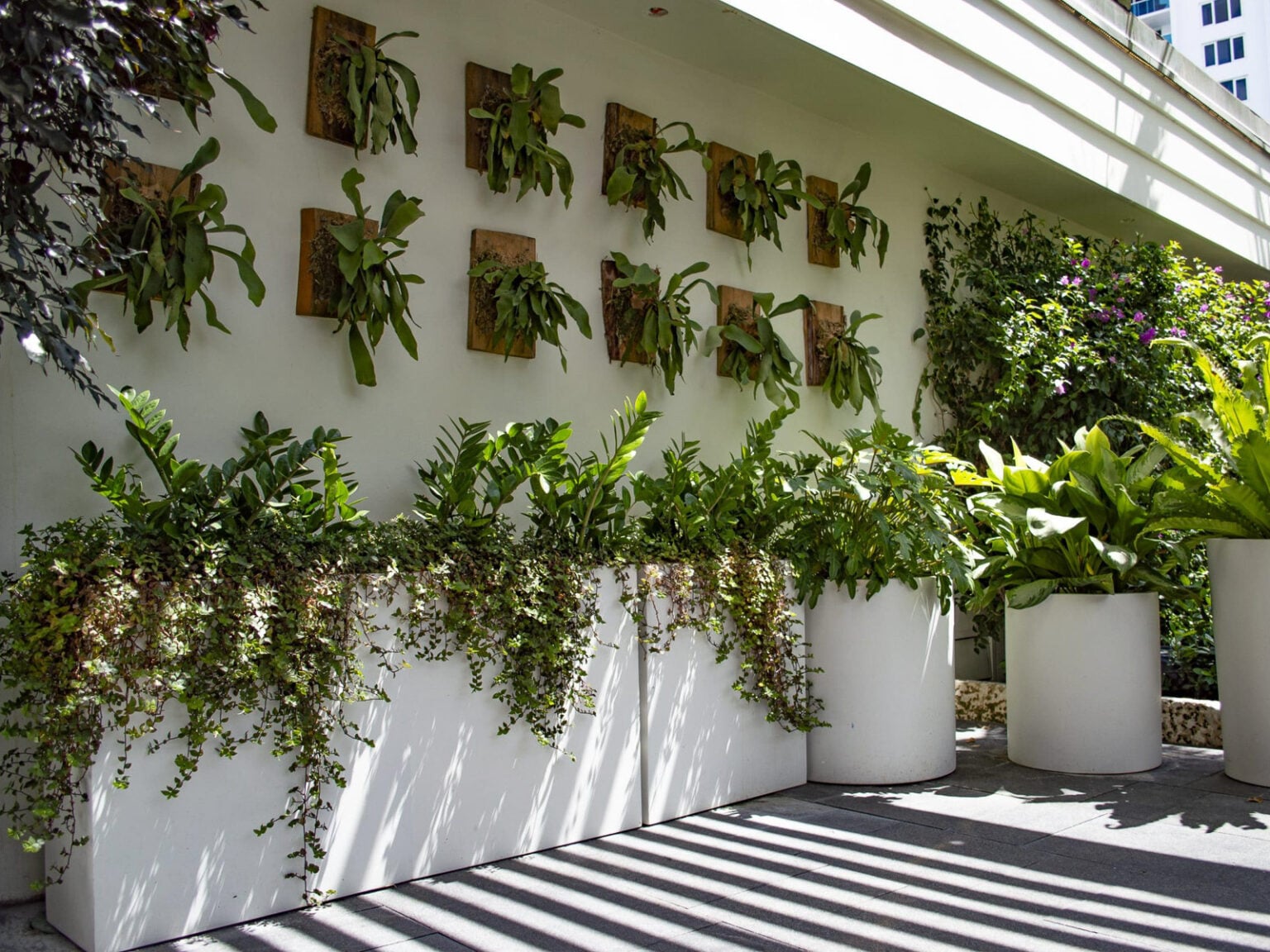 15 Front Yard Landscaping With Potted Plants Ideas for a Stunning ...