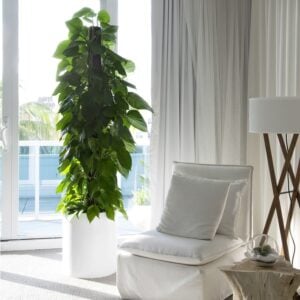 Cylinder & Bullet Planters