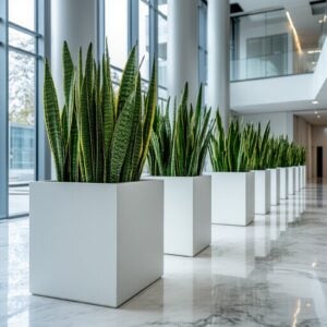 Contemporary Geometric Planters