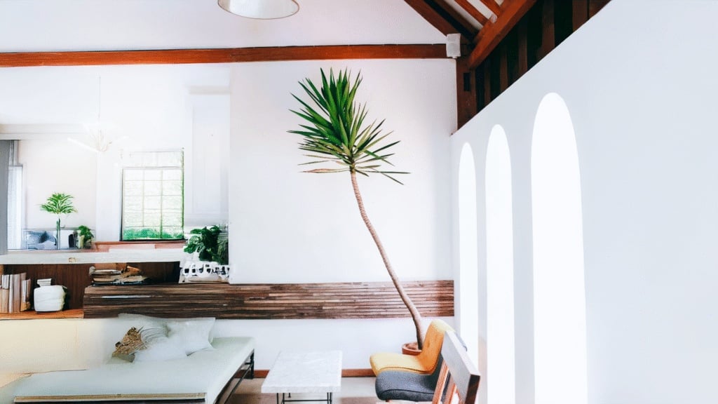 How To Properly Water your Indoor Palm Plant