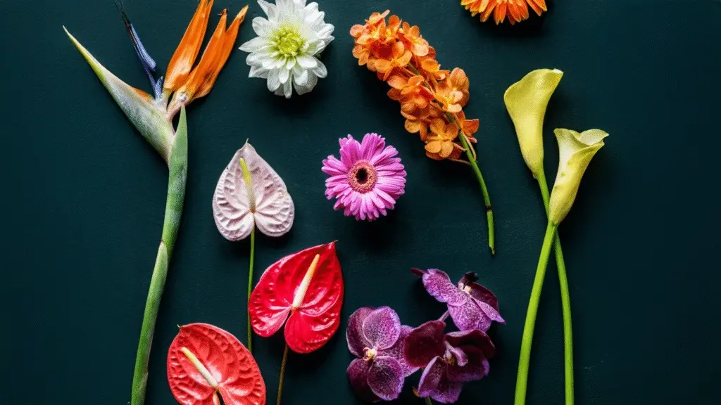 Beginner's Guide to Growing Indoor Flowers from Seed to Bloom: Your  Complete Step By-Step Resource | Jay Scotts Collection