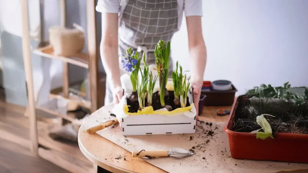 Beginner's Guide to Growing Indoor Flowers from Seed to Bloom: Your  Complete Step By-Step Resource | Jay Scotts Collection