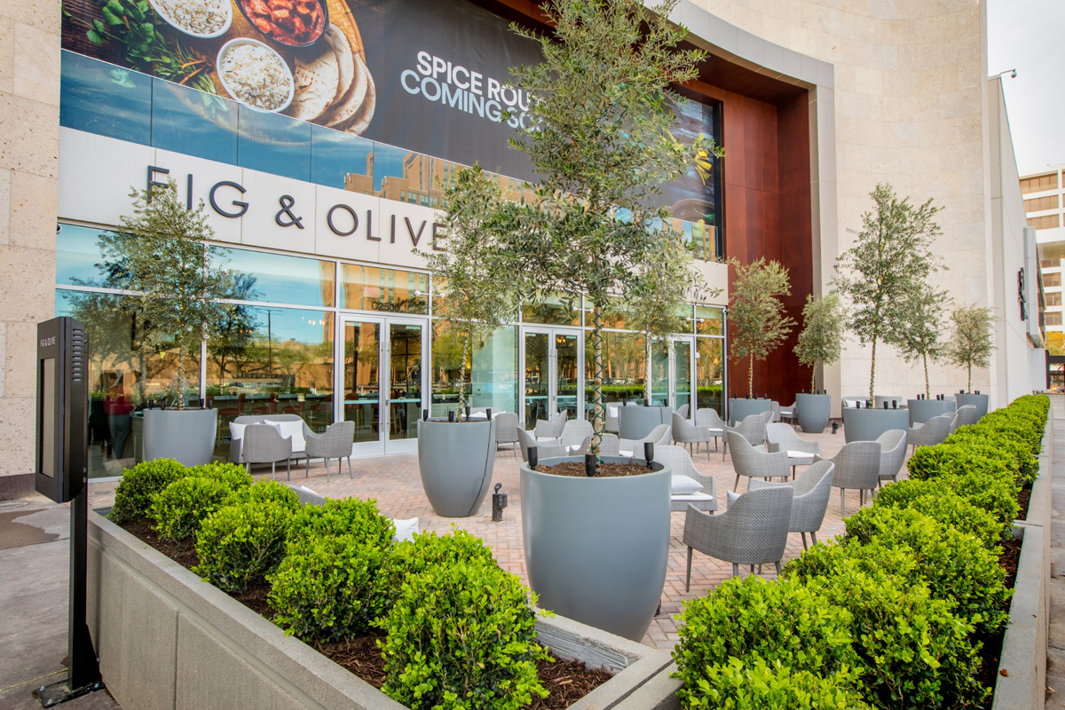 Fig Olive Photo by Shannon Ohara